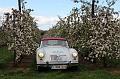 MG Bloesemrit op 24-4-2016 org. Jos&Marie-lou  (242)